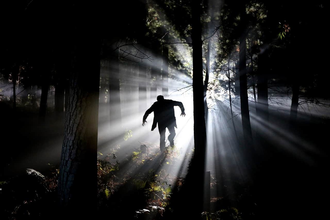 man in forest with harsh lighting