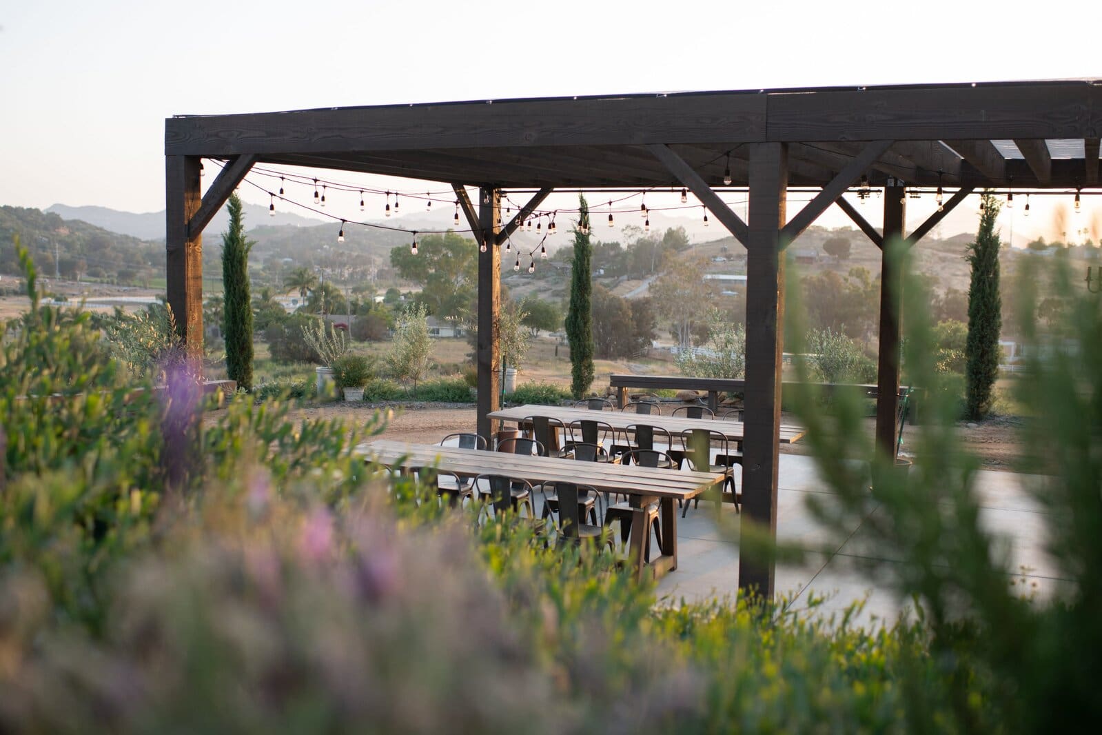 Arizona event planning details arranged for a stylish desert reception
