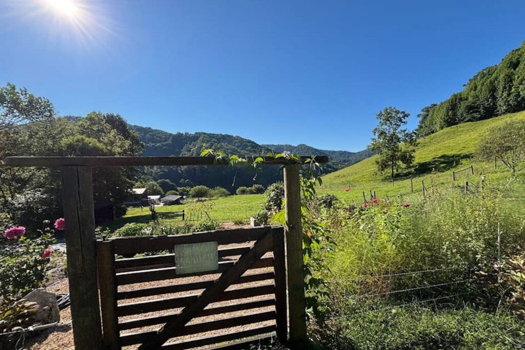 A farm gate in the foreground with a vast valley of greenery, flowers, and trees beyond it