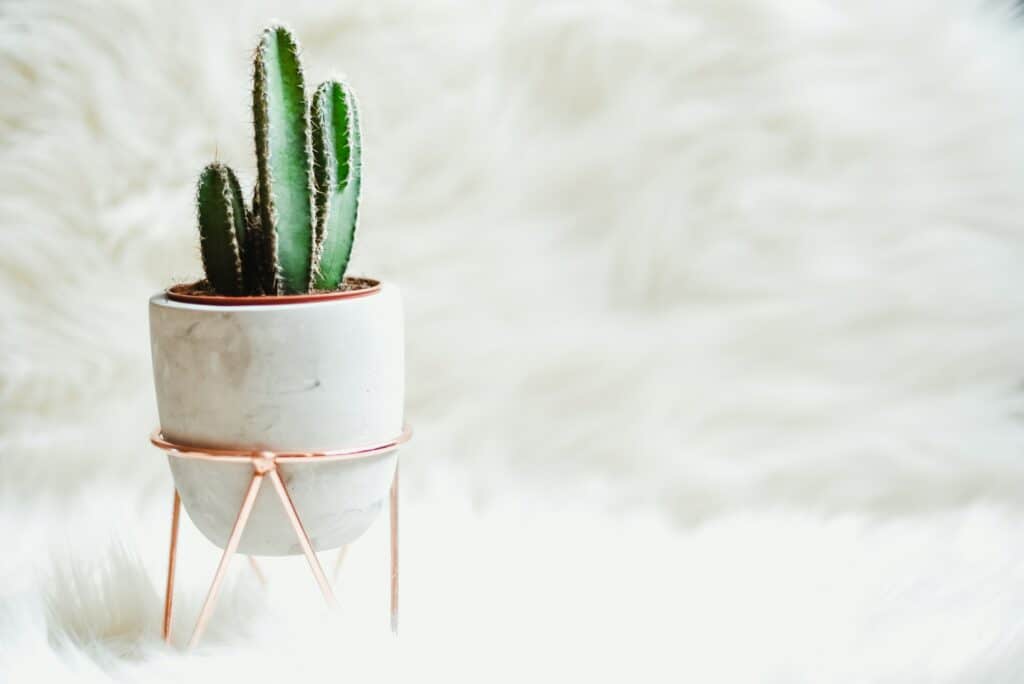 The 7 Best Product Photographers in Orlando | Peerspace