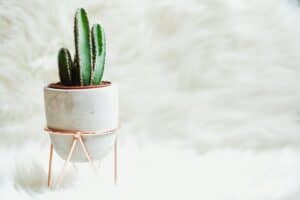 The 7 Best Product Photographers in Orlando | Peerspace