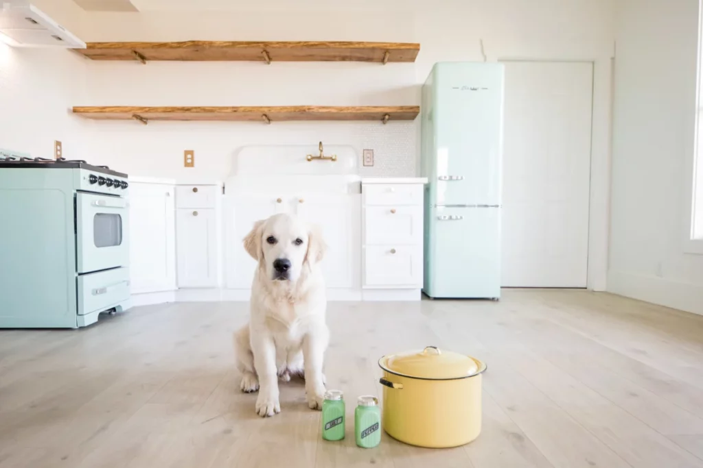 a dog sitting in a vintage kitchen 