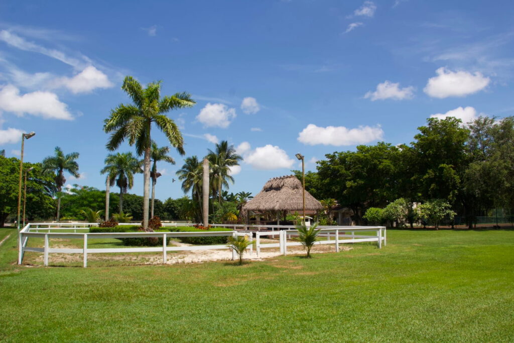 A horse ranch with a gazebo surrounded by palm trees and other lush trees
