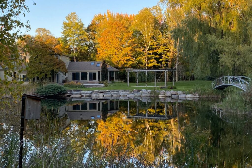 a house on a pond