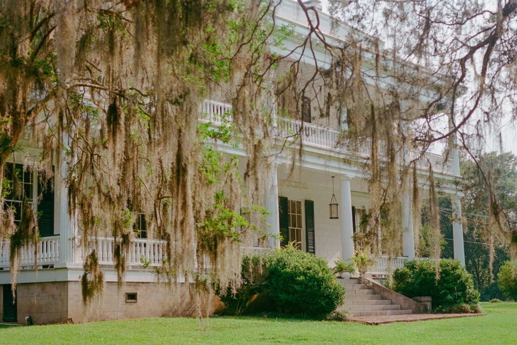 Idyllic southern mansion with large veranda, white columns and moss-covered trees