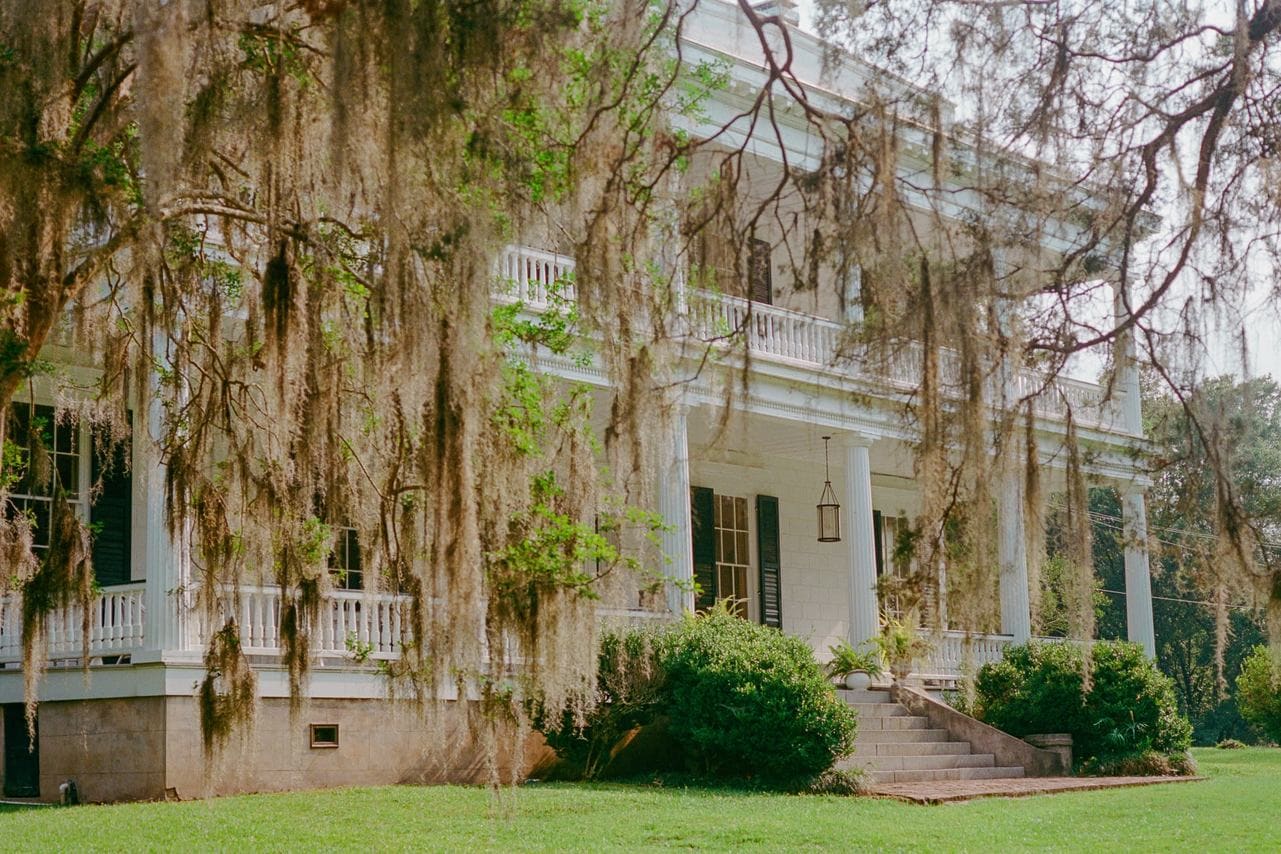 Top 6 Wedding Planners in Louisiana | Peerspace