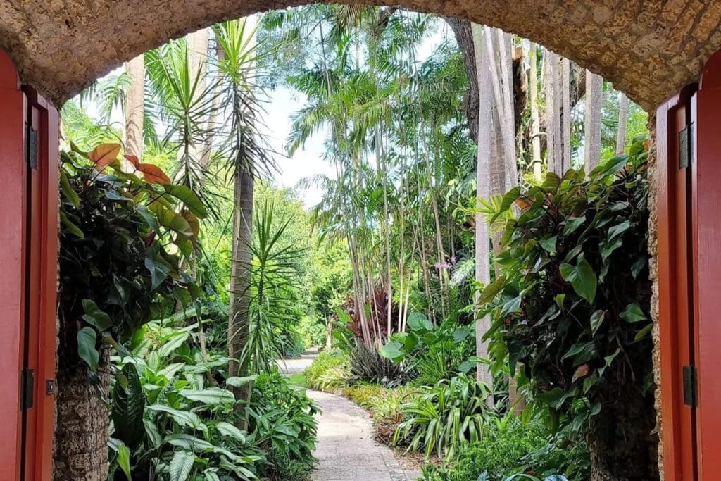 Image of lush garden area at The Kampong (National Tropical Botanical Garden) in Miami