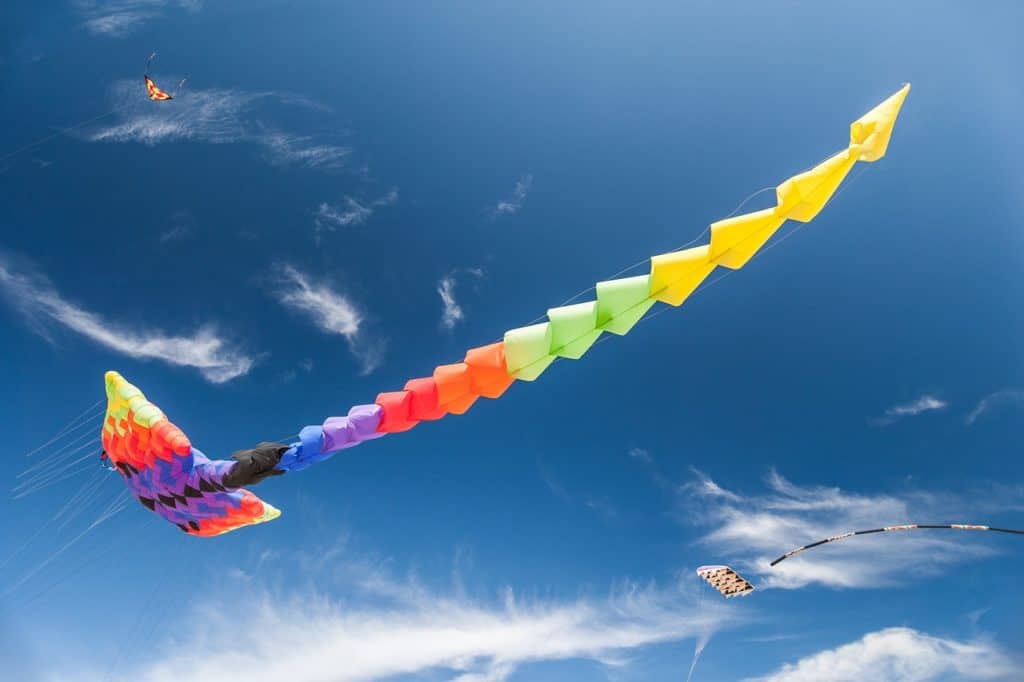10 Awesome Team Outing Ideas in Miami | Peerspace