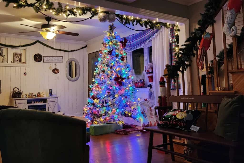 The Holiday House