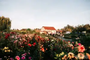13 Unique May Wedding Ideas: From Venues To Decor & Beyond (2025) | Peerspace
