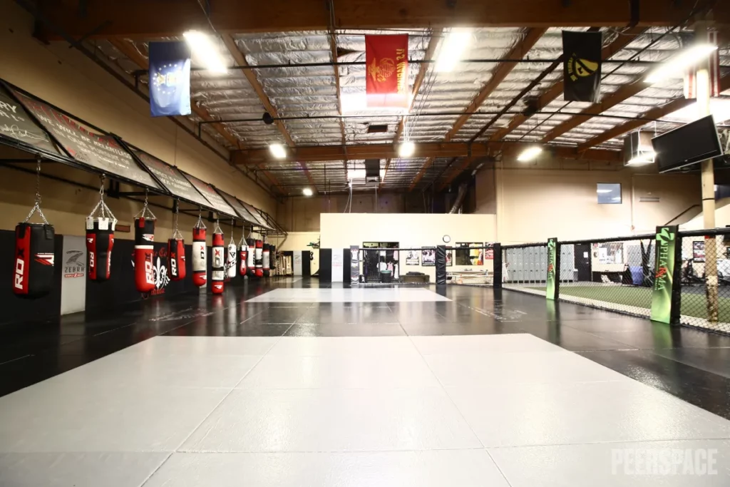 Huge Fitness Training Mat Area