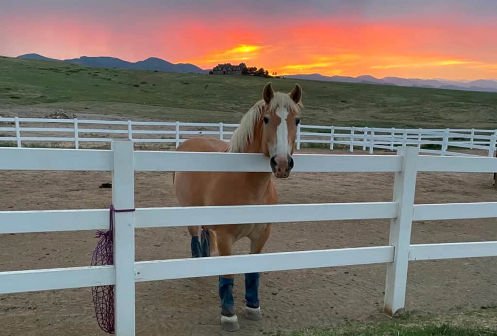 Airbnb For Weddings in Colorado