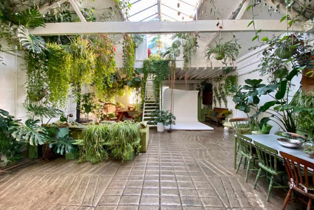 Plant Filled Victorian Stable in Old Tram Depot