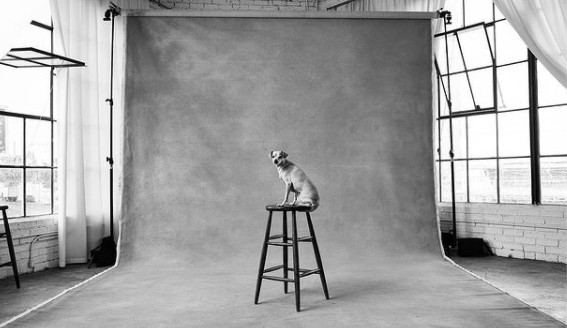 long beach commercial photographers lead image