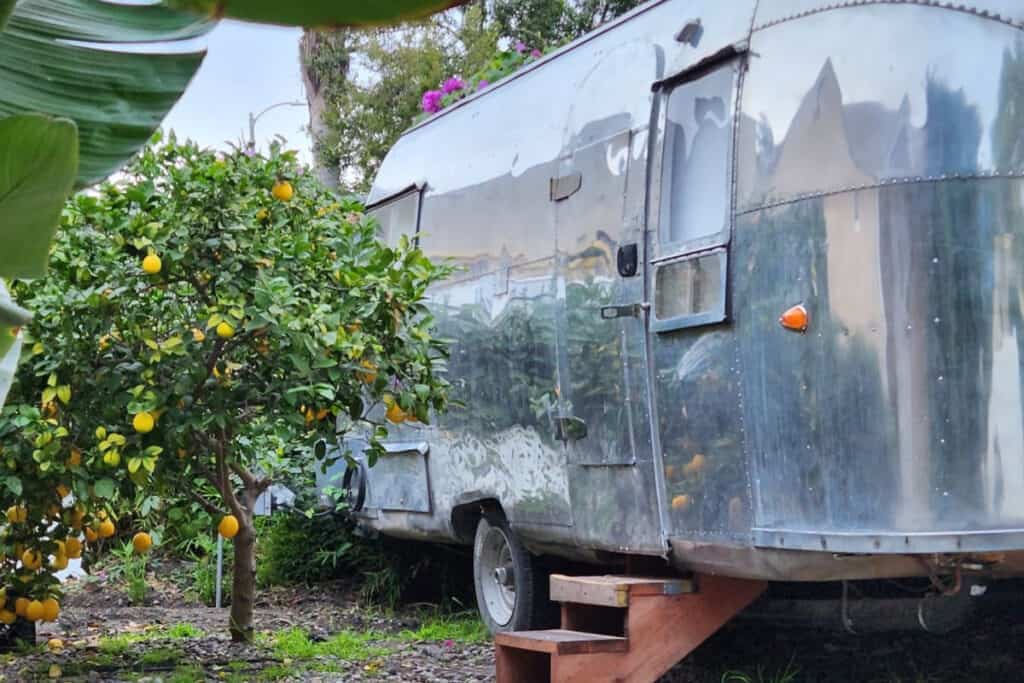 Airstream for filming with a front yard and a lemon tree
