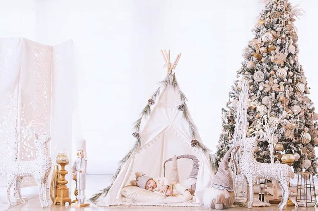 Indoor Christmas Photoshoot Ideas