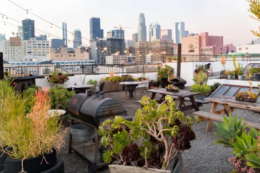 Downtown LA Rooftop Sky Garden Succulent Oasis