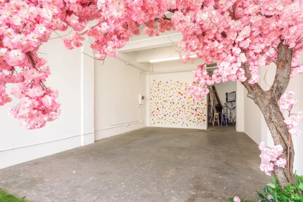 DTLA studio with cherry blossoms