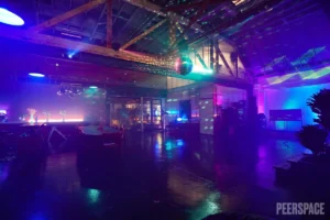 11 Great Dance Party Ideas for Your Next Gathering | Peerspace
