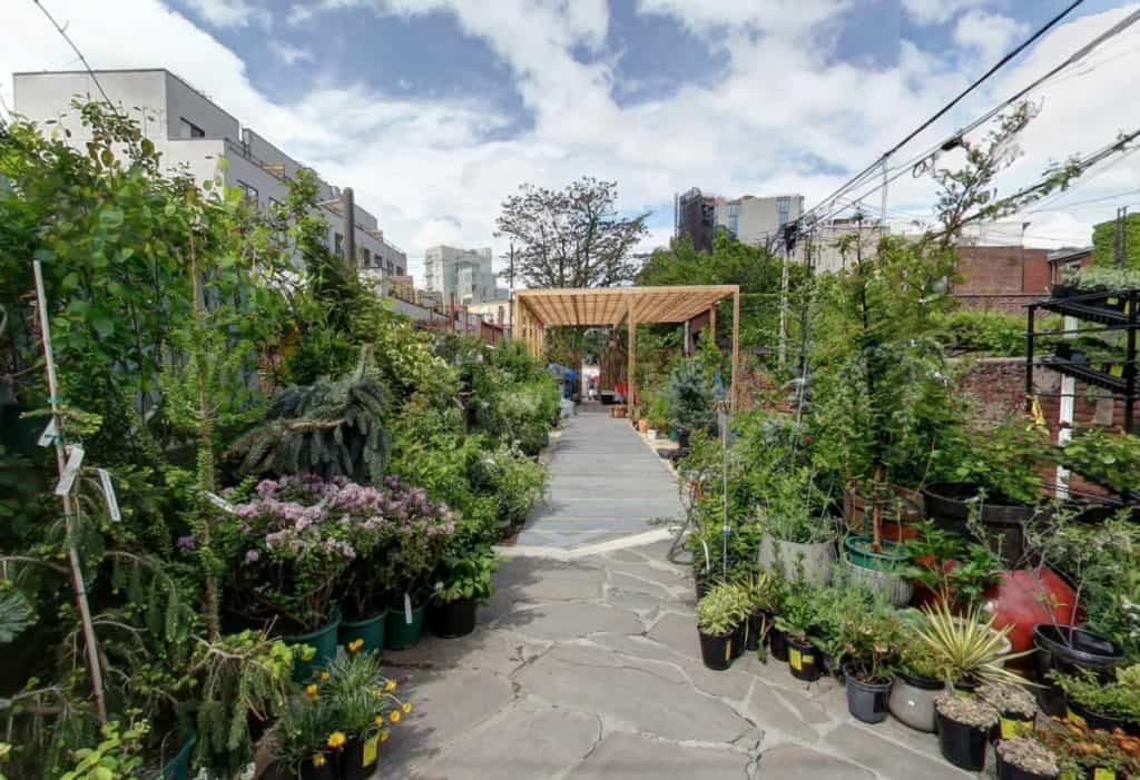 lush garden and greenhouse nyc new york city rental