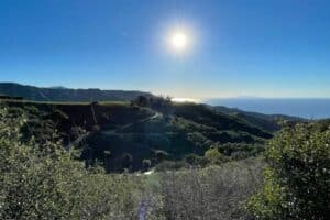 Where Was “Planet of the Apes” Filmed? | Peerspace