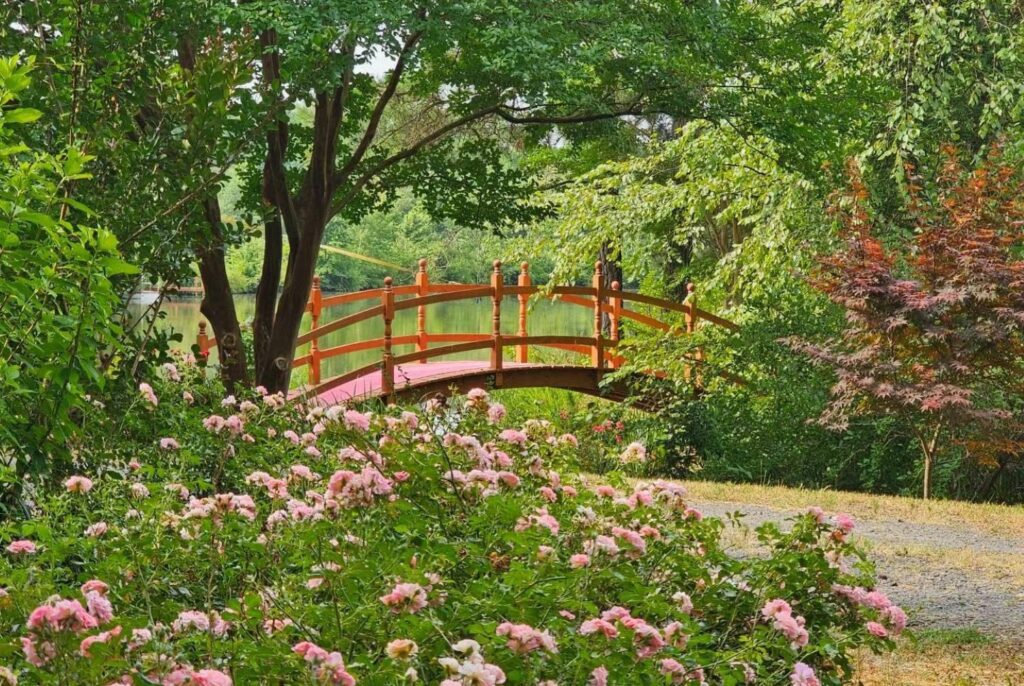 a meadow with a bridge over a pond