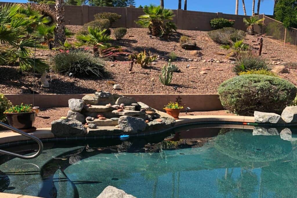 landscaped tropical pool in mesa