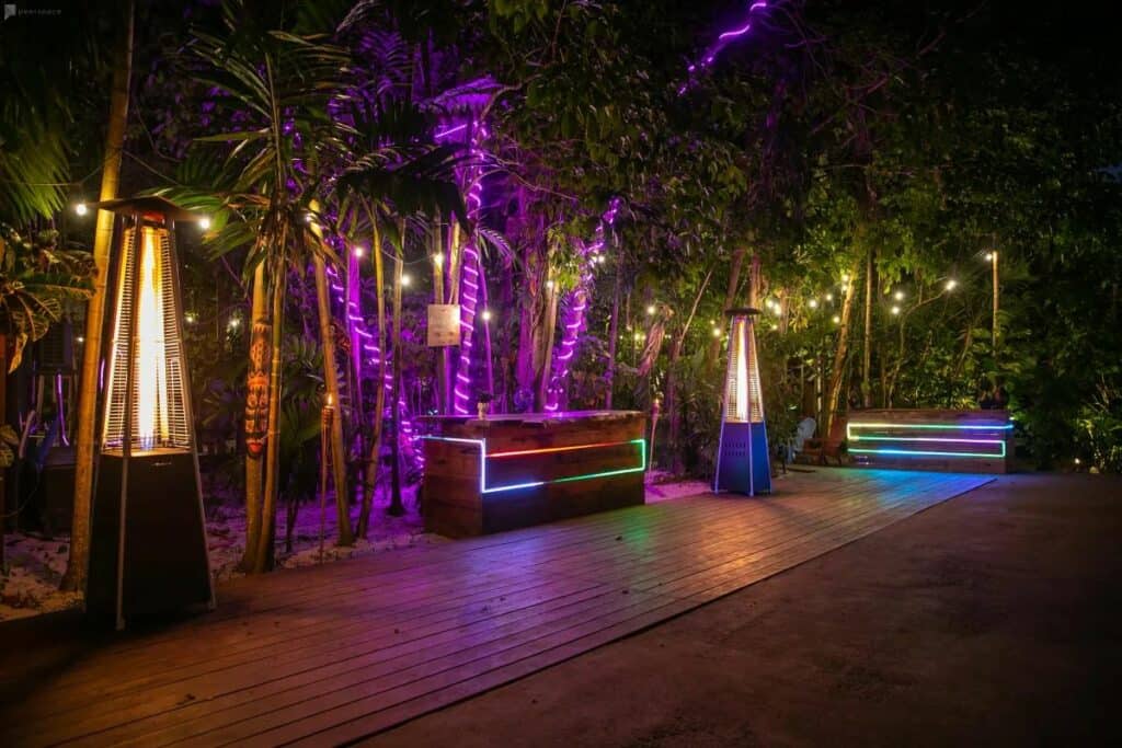 miami tropical outdoor jungle escape