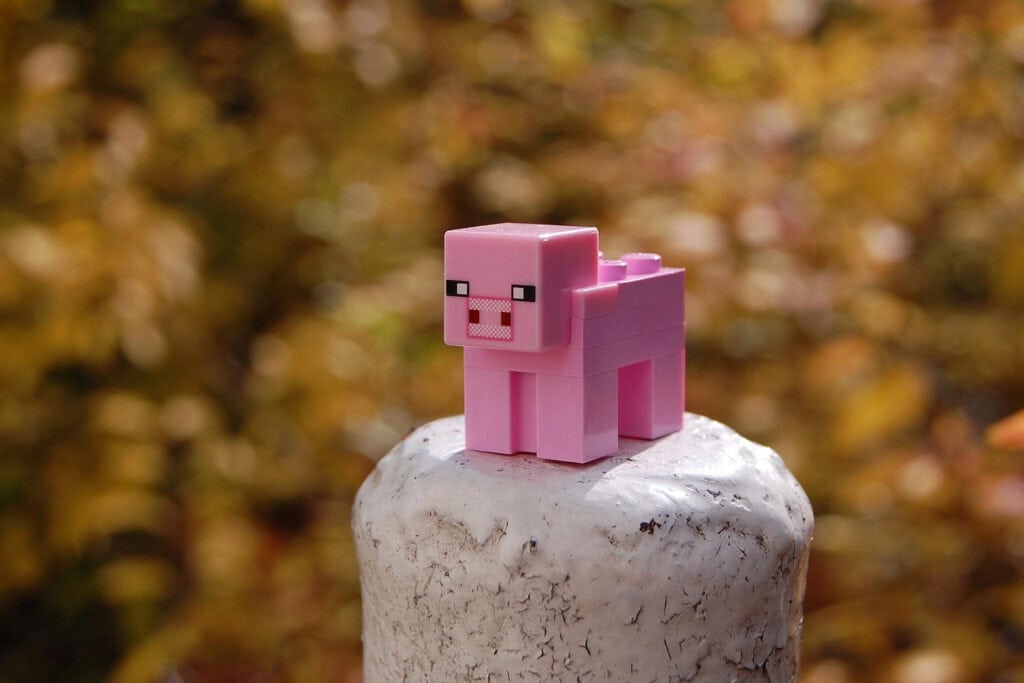 Pig brick from Minecraft world sits atop a rock.