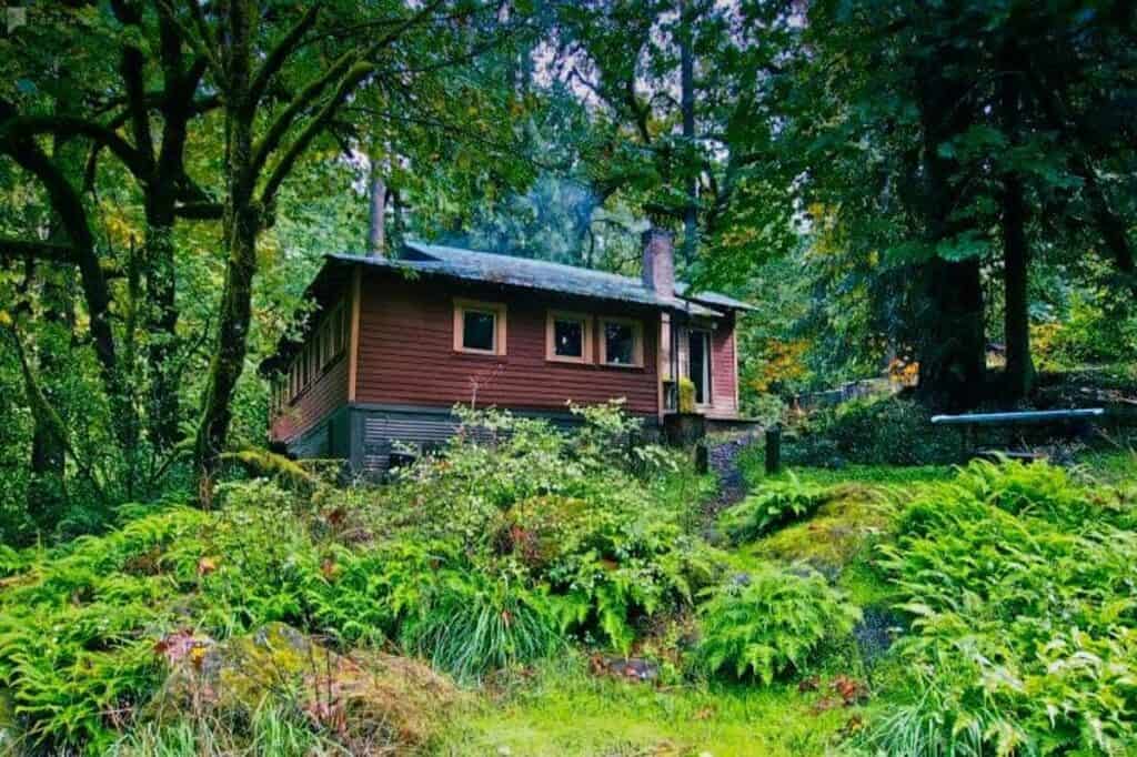 a cabin in the woods