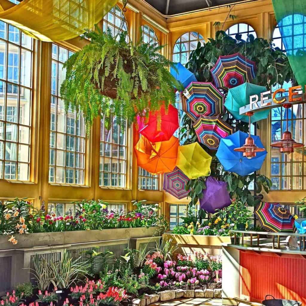 The 8 Most Instagrammable Places in Baltimore | Peerspace