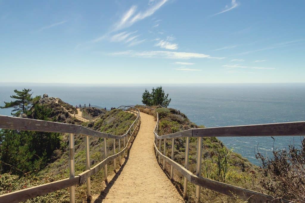 muir beach sf san francisco