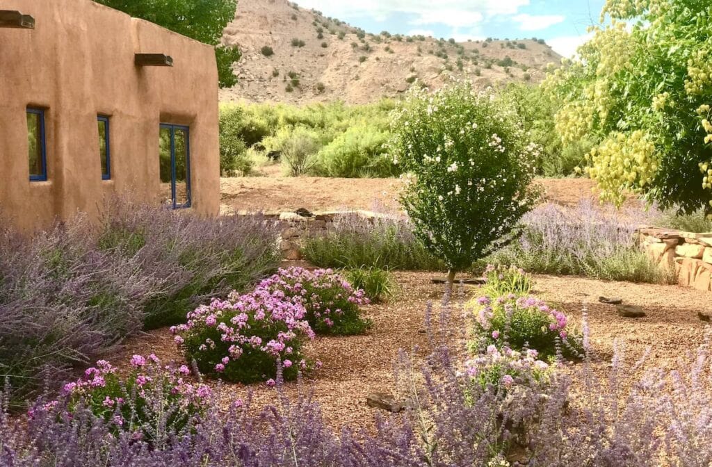A traditional adobe home with a beautiful garden courtyard space