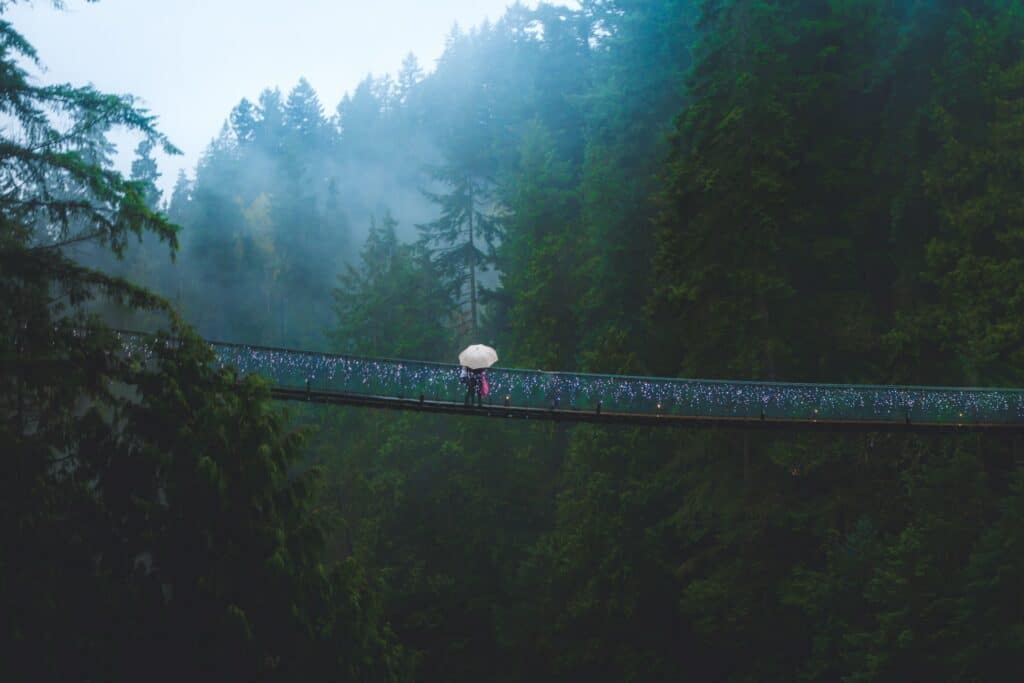 vancouver capilano Suspension Bridge