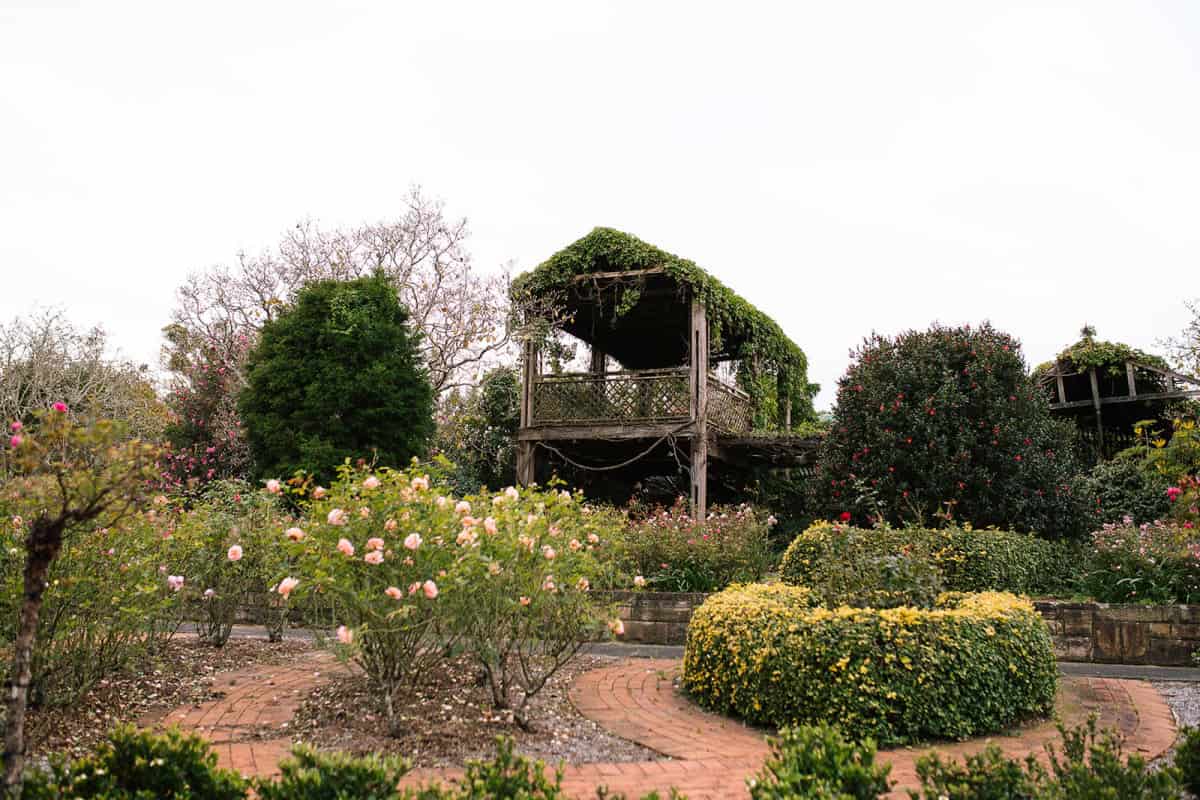 Outdoor Photoshoot Locations Near Sydney