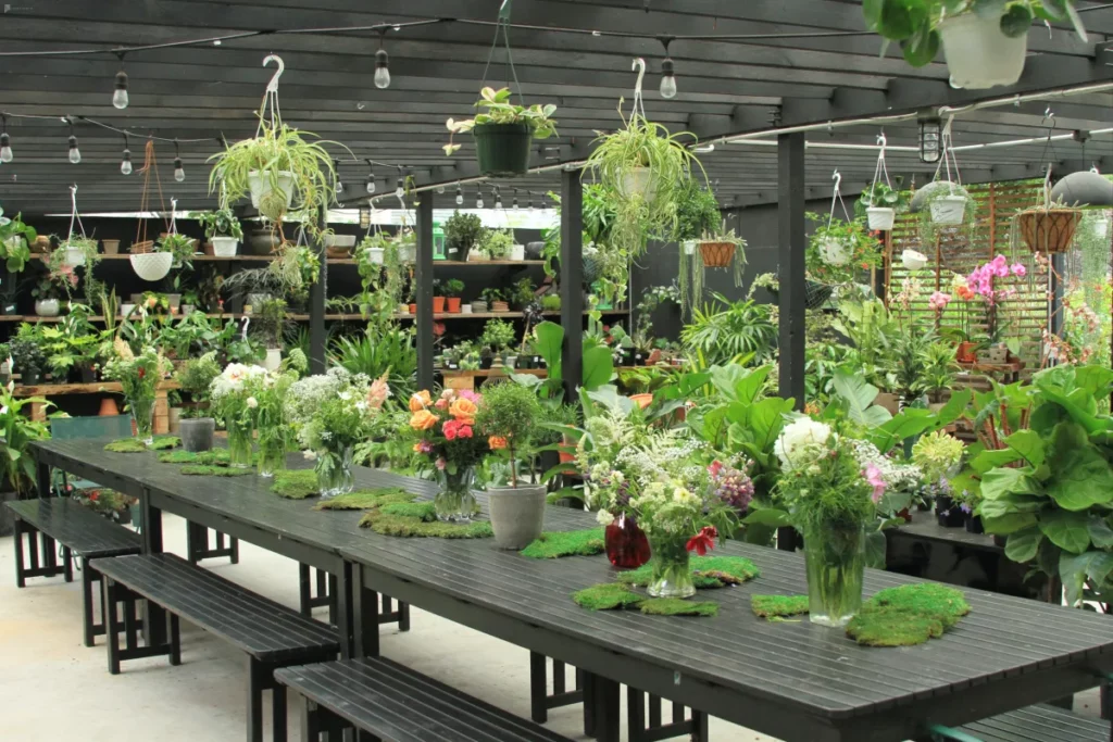 a community nursey with hanging plants