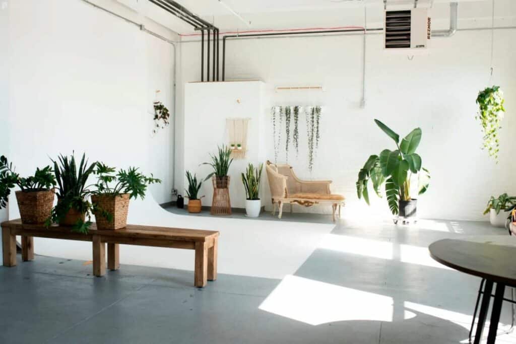 vibrant plant-filled studio space