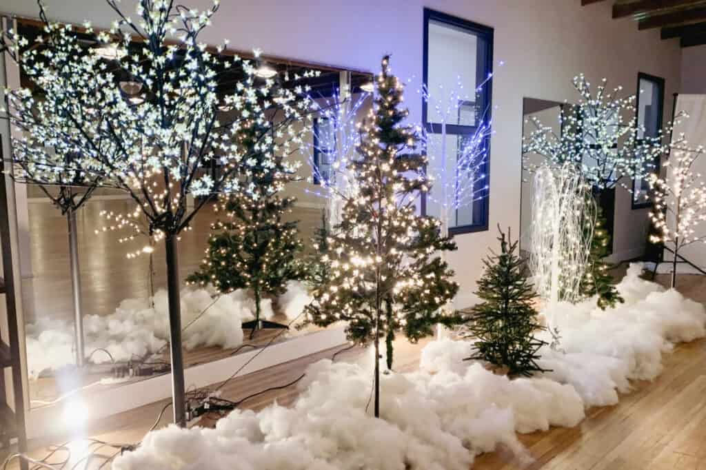 Indoor Christmas Photoshoot Ideas