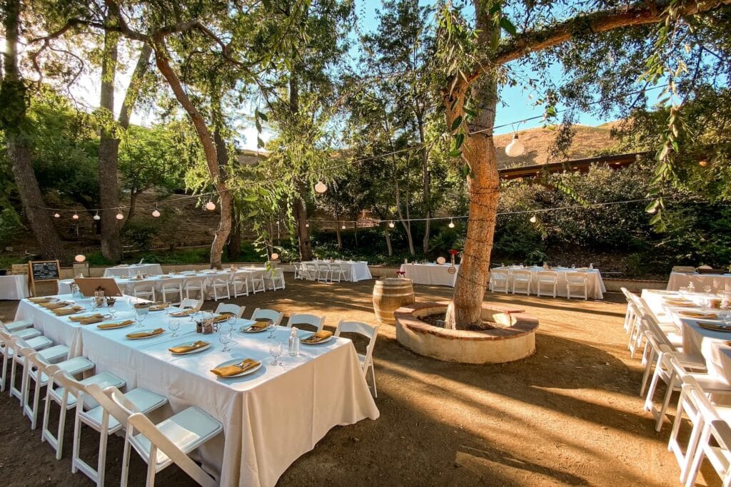 String lights hang in the trees of an outdoor reception venue with long white tables and simple place settings
