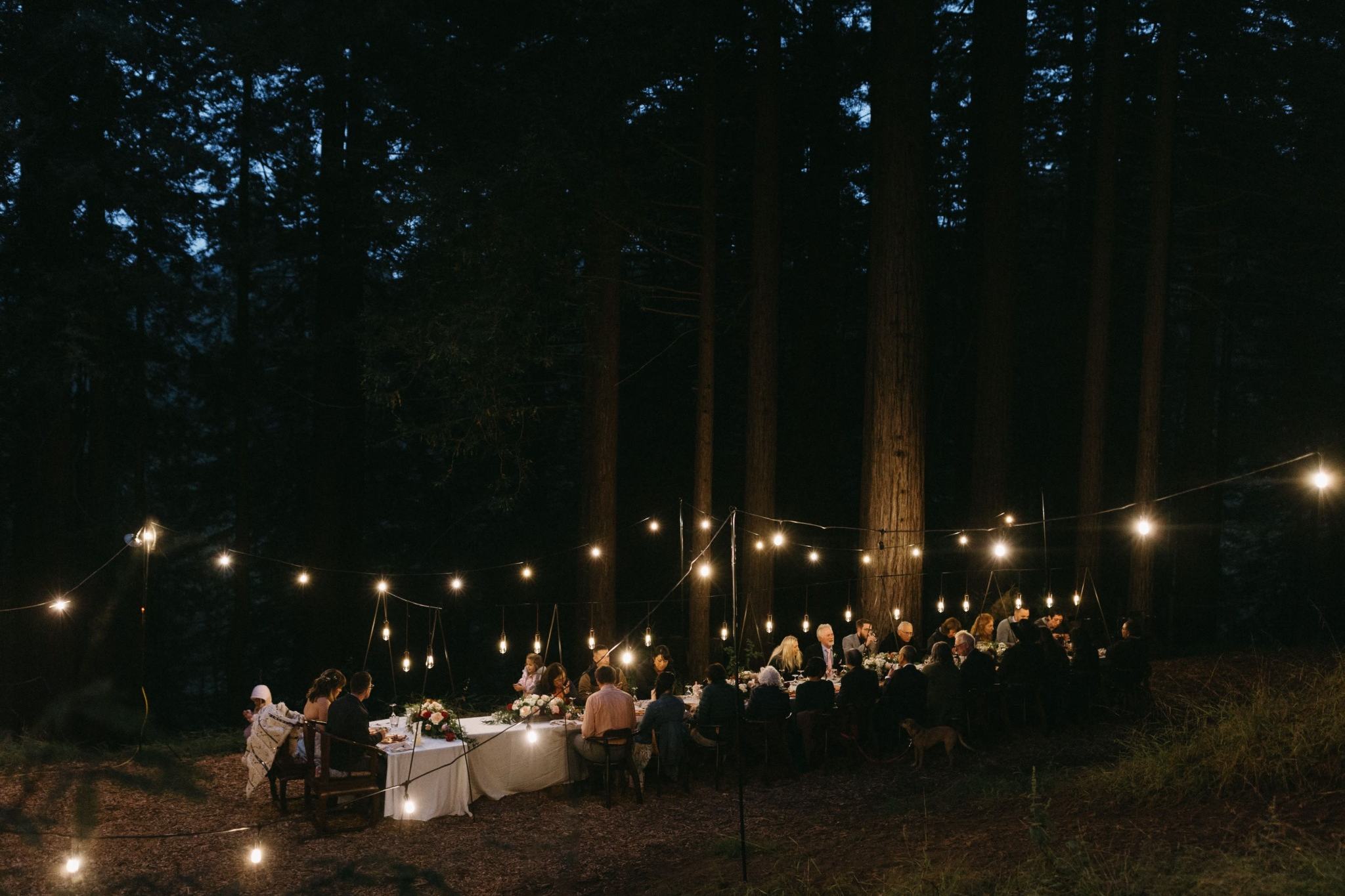 Enchanting forest dinner party with string lights near Sacramento