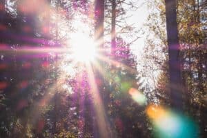 What Is Lens Flare? | Peerspace