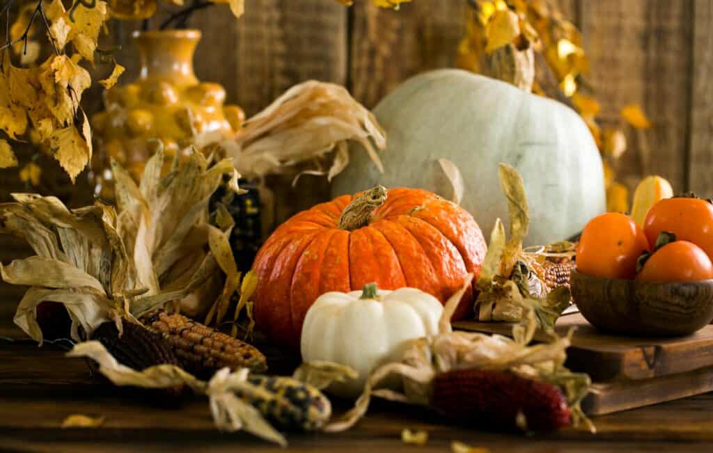 pumpkins holiday decor