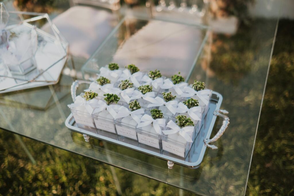 Small home wedding favor ideas with little plastic boxes with bow and plant