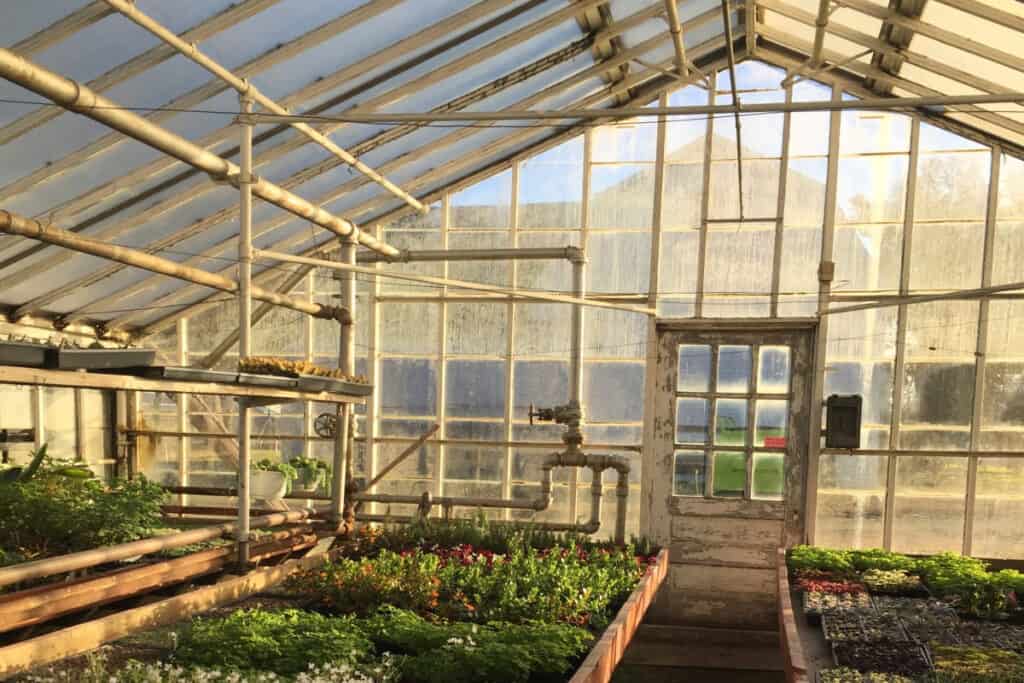 historic greenhouse in plymouth