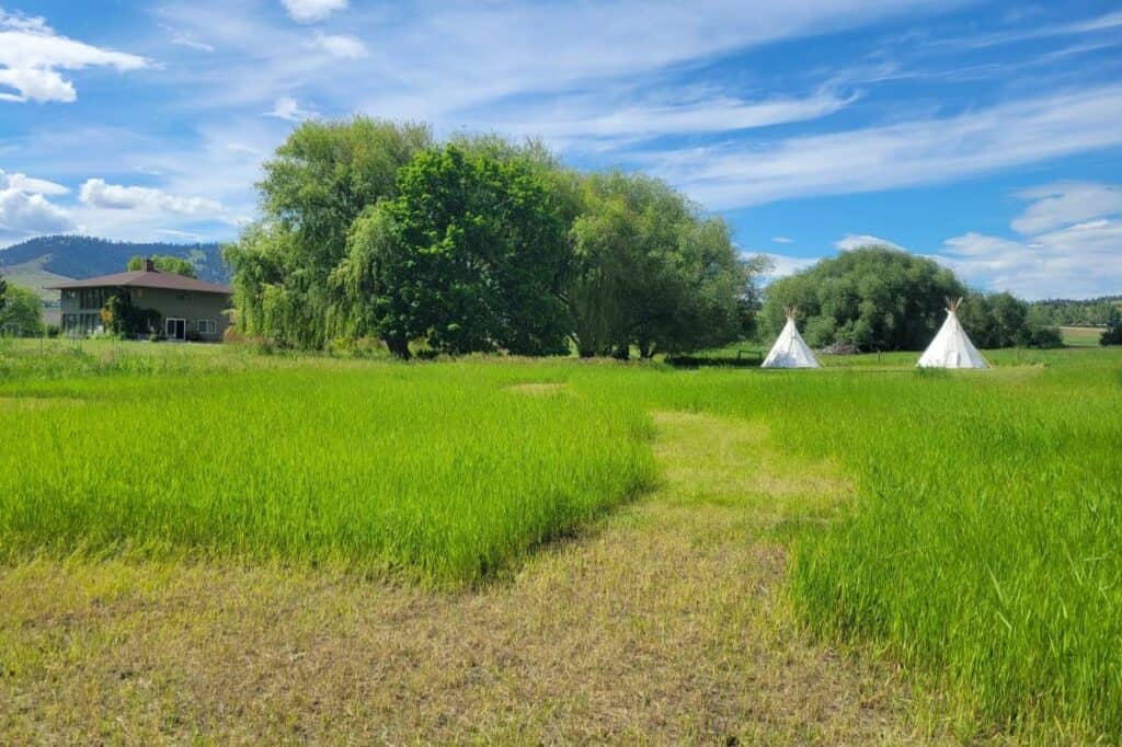 Tipis and Unique Accommodations