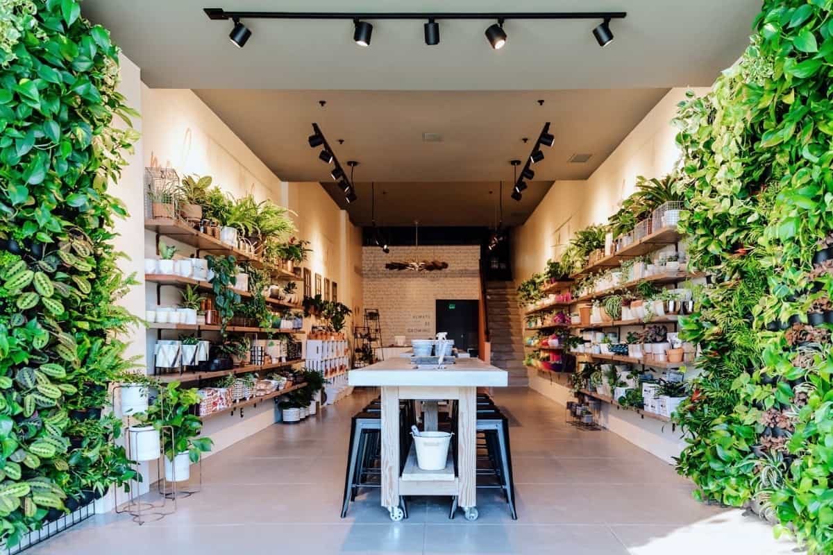 potting studio indoor garden los angeles rentals