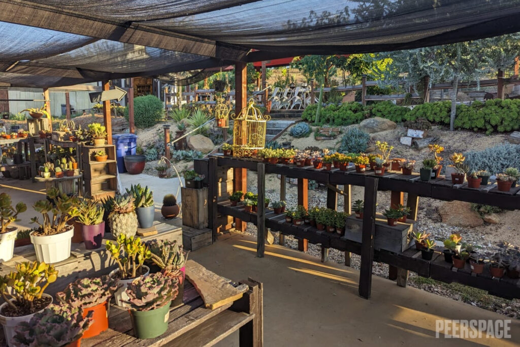 Rustic Farmstand Greenhouse with Succulents and Cacti