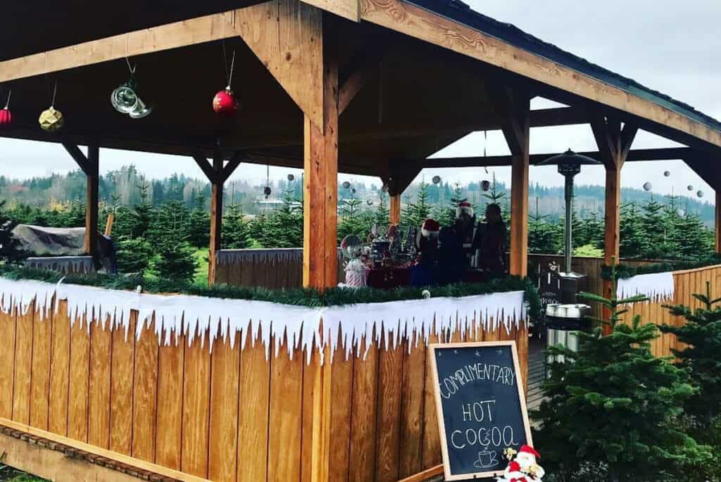 christmas tree farm zoom christmas party ideas