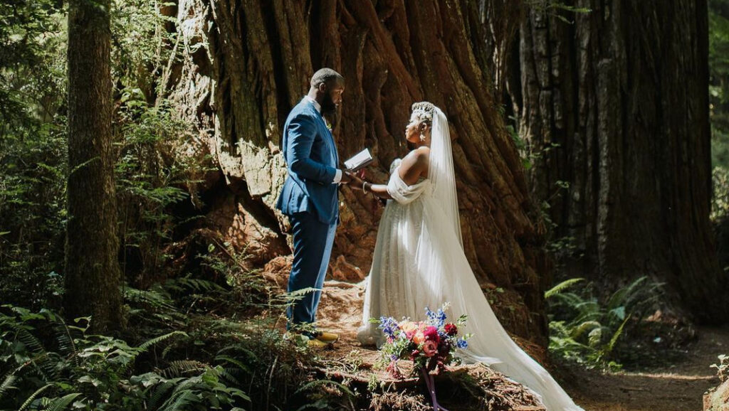 The 9 Best Elopement Photographers in Sacramento | Peerspace