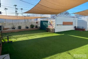 10 Pokemon Party Ideas | Peerspace